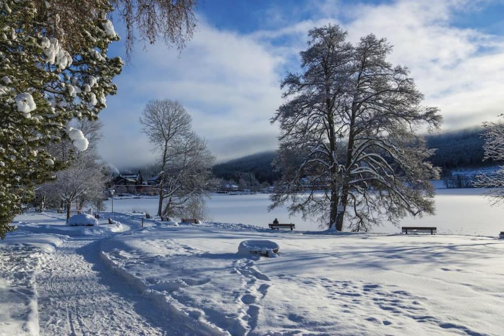 Waldblick Titisee Exterior photo