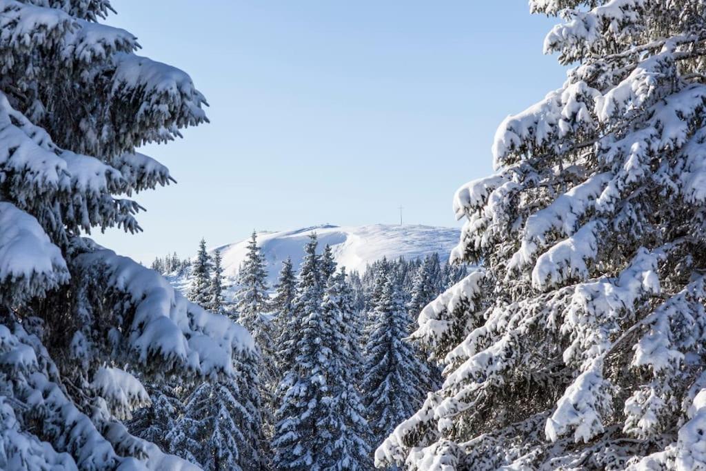 Waldblick Titisee Exterior photo